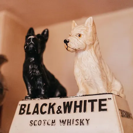 Le Nid De La Canette Appartamento *